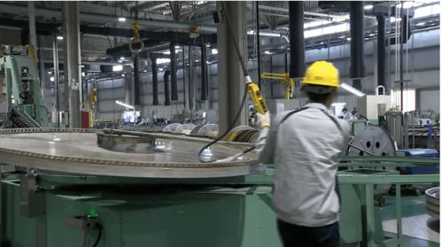 致力于绿色发展 致佳咨询ISO14001环境管理体系咨询服务案例分享