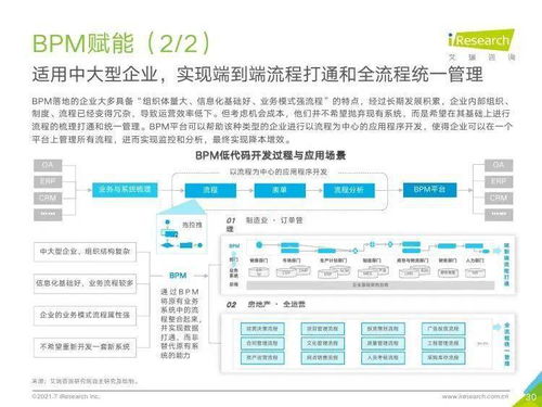2021年中国企业服务研究报告 信息咨询服务的发展与洞察
